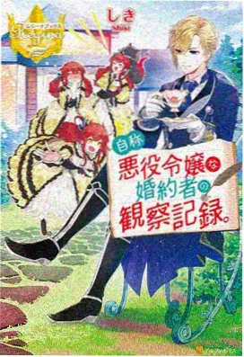 精灵法师 瑟琳